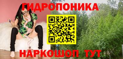 ешки Дубна